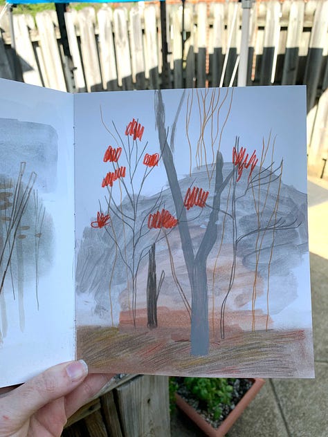 Kayla Stark and Vivien Mildenberger fall autumn tree with sketch book pages of illustration observation studies.