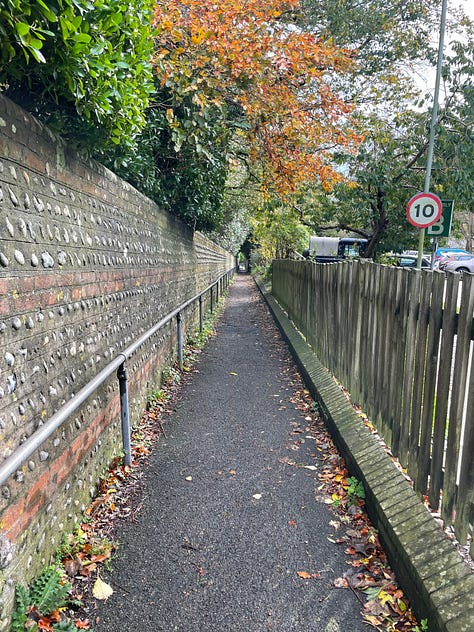 Trees, hedges, and plants on roads and at stations