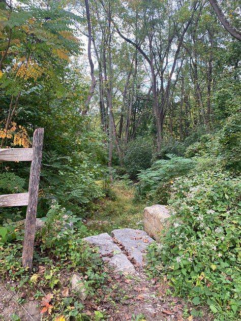 Six images: a black door looking out a door, steps covered with snow in a woods, yellow leaves over a road, a brick labyrinth, a hot pink tunnel in the dark, steps in the woods