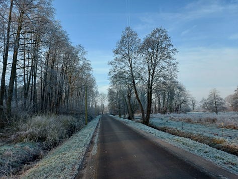 Small road into the countryside, winter, frosty