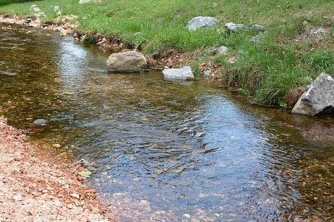 A creek, a path in the woods, and a rocky cliff