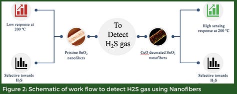 Electrospun Metal Oxide Nanofibers based H2S Gas Sensor