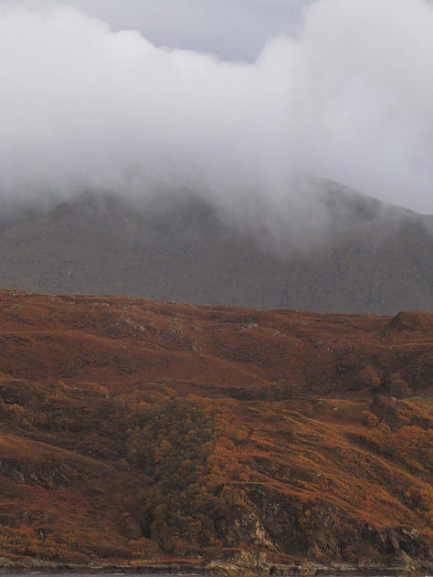 The brown and gold background of the Scottish hills highlights the change in seasons, from summer to Autumn, with the leaves changing to browns and yellow. The green moss and lichen covers all the rocks and trees, with low cloud obscuring the tops of the hills and mountains. 