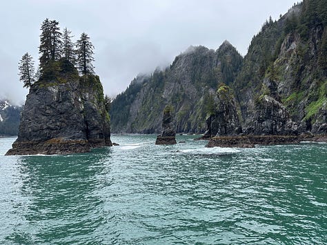 Six scenes from the Kenai Fjords tour with water, cliffs, whales, sea lions and birds.