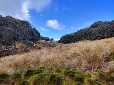 Various tramping images from Tableland to the Leslie River Valley, Kahurangi National Park