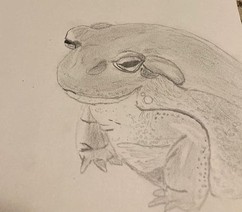 Hand-drawn sketches of a little boy, a sleeping toddler, a toad, a hedgehog, a bunny, a bear cub, and a fox