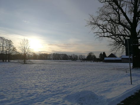 Frozen lakes and fields, and a snow-covered pedestrian bridge, hiking through the Spreewald in winter.