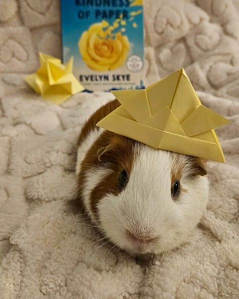 2 cats and a hamster, wearing yellow origami samurai hats
