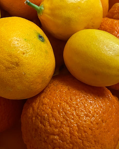 Several image of different citrus fruits like lemons, oranges, meyer lemons, and sumo mandarins