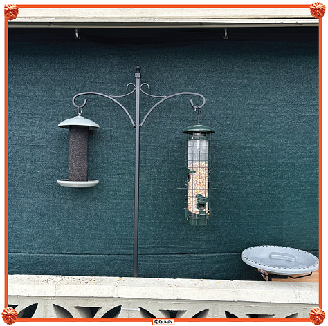 Photos of the planters and bird feeders in front of the apartment. Savory bread pudding. Hurricane season. India wins the T20 Cricket World Cup. 