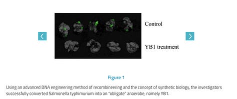 Bio-Engineered Bacteria for Cancer Therapy