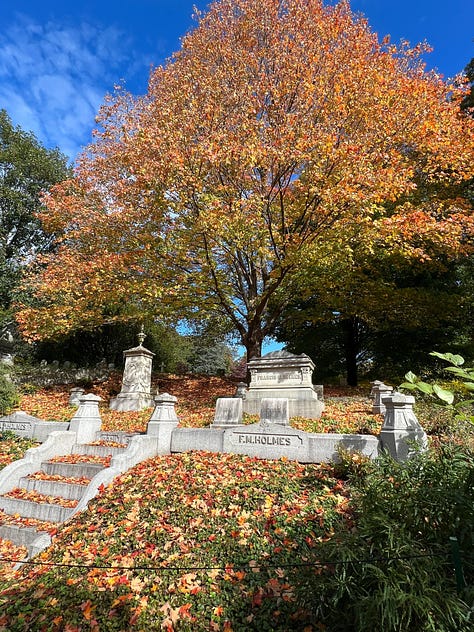 Colorful autumn trees in a cemetery, and an image of two turkeys who live there.