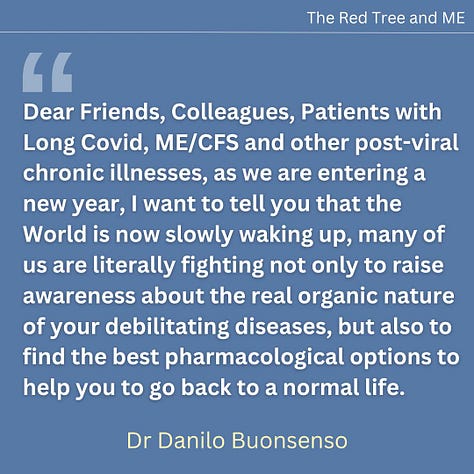 Dear Friends, Colleagues, Patients with Long Covid, ME/CFS and other post-viral chronic illnesses, as we are entering a new year, I want to tell you that the World is now slowly waking up, many of us are literally fighting not only to raise awareness about the real organic nature of your debilitating diseases, but also to find the best pharmacological options to help you to go back to a normal life. Please do not lose hope now that we are trying to revolutionize the way post-viral illnesses are seen. We will give all our energies to achieve this result. Luckily, we are now all collaborating and sharing experiences, and I am optimistic we will achieve our goals. Merry Christmas and wish you all the best 2025.