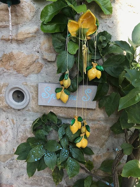 Lemons and limes thrive in busy gardens clinging to the sides of the hilltop village.