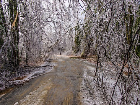 Ice damage in 2008