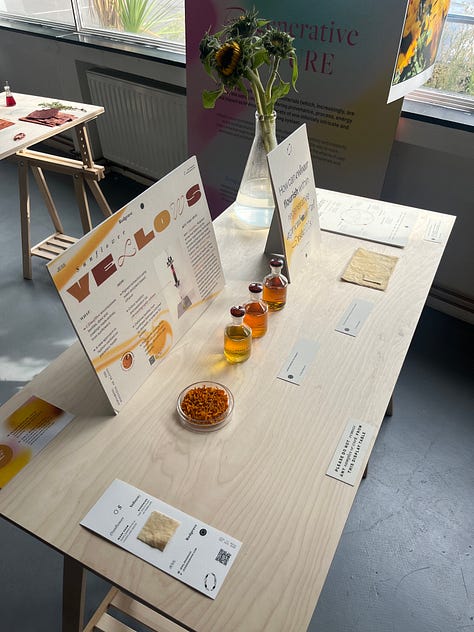 1-2. Exhibition table showing artefects of sunflower petals and oils; 3. Dyed garment using sunflower petals worn on a black male model in a garden surrounded by sunflowers [Credit: Jess Redgrave].