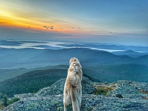 From the tops of Mts Mansfield and Abraham and Camel's Hump