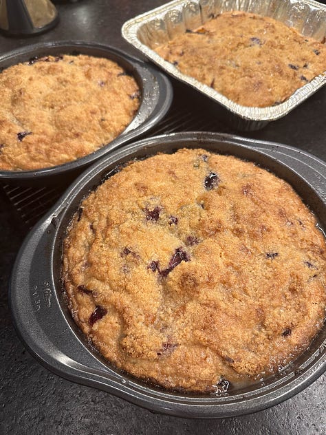 Blueberries growing on bushes, held in hand, and in three blueberry coffee cakes.