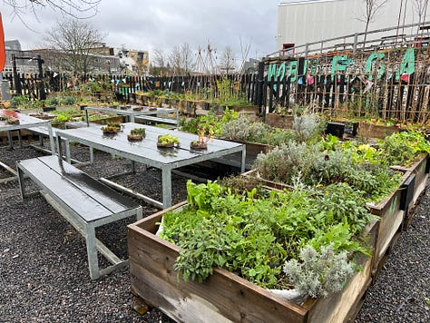 The Mobile Garden in Hackney Bridge, with planters and various crops, a polytunnel and signage saying "ALL WELCOME"