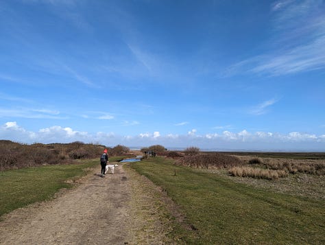 walk hike gower wales