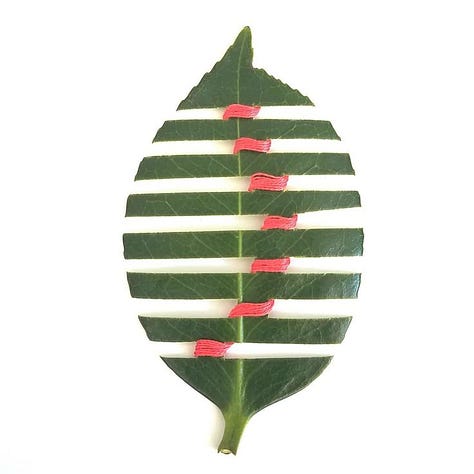 three leaves with thread woven or stitched on.