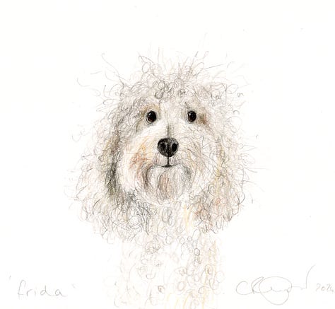 dogs