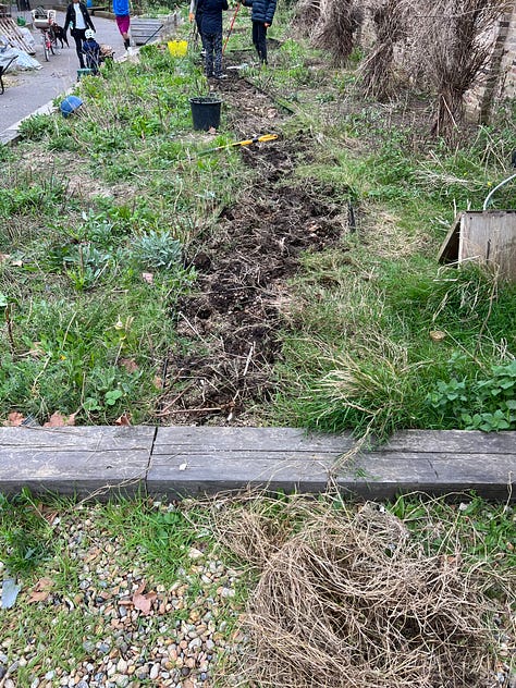 Three photos of wood chip and mulch garden projects