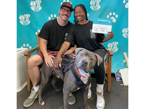 Pasadena Humane Adoption Photos