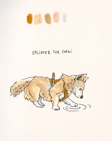 A collection of dog sketches from the daly dog drawing challenge