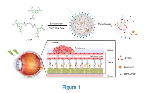 Photo-Responsive Carrier for Hydrophobic Small Molecule Delivery at Target Site