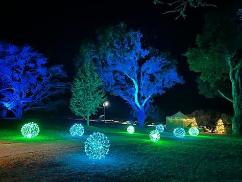 images of Christmas lights and lanterns including a tunnel of light and a tree of books