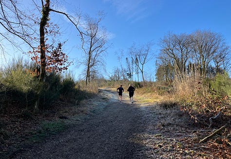 A blue sky over a hard path