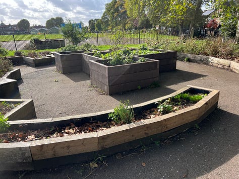 Progress photos of clearing the play park planters