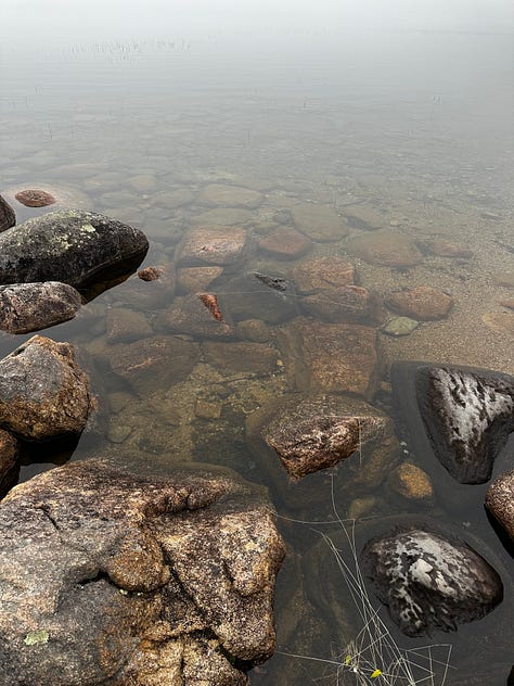 Acadia National Park
