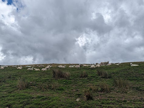 guided team building challenge walk in the brecon beacons