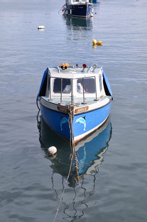 A 3 by 3 grid of photographs. From right to left: top row; peeling blue paint on something wooden, large muscles tied up in a dark blue plastic netting, a small boat with a blue base and cartoon dolphin on the side, reflecting in the water. Middle row: the blue sky with a seagull spreading its wings, a upwards shot of a blue panelled building, an alleyway with the graffiti of blue wings. Bottom row: A blue door on a pale blue house, a building with lots of windows reflecting the blue of the sky, a row of fish on ice in blue plastic boxes stacked up on top of one another.