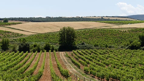 Landscape images of the Spanish wine regions of Rioja and Ribera del Duero