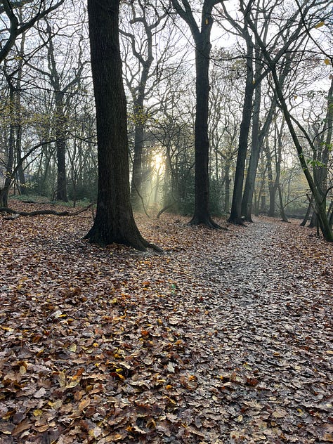 Autumn soul stuff — light portals in the woods, beautiful food on the yoga retreat, dreaming up ideas for The Beauty Thread. on my 39th birthday. 