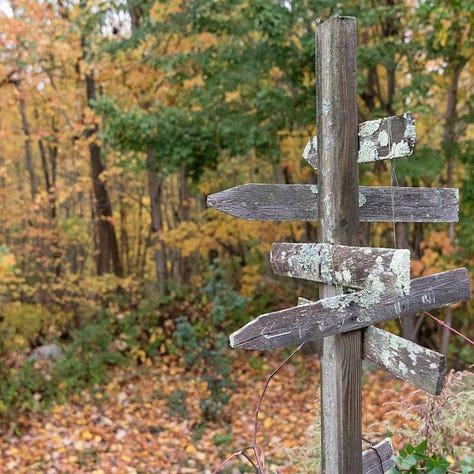 Signposts in Autumn Wood, Woman holding up Save The Planet Sign, Brick wall with ivy