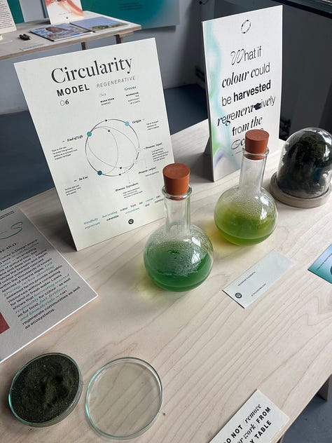 1-3. Exhibition table for 'greens' showing Phoebe Lewis' artefacts for using seaweed to create dye pigments, with vials of liquid, dried pigment and a paint sample.