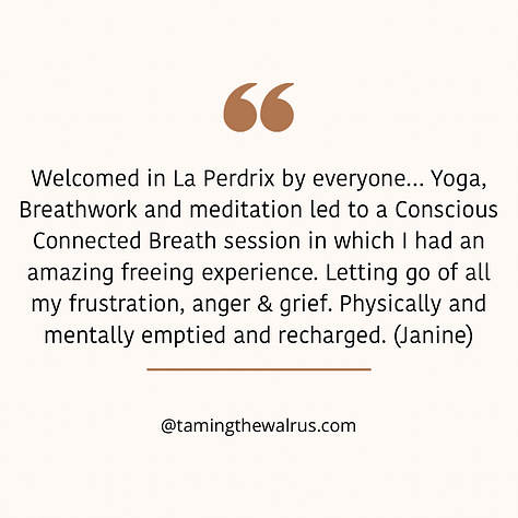 Quotes from participants