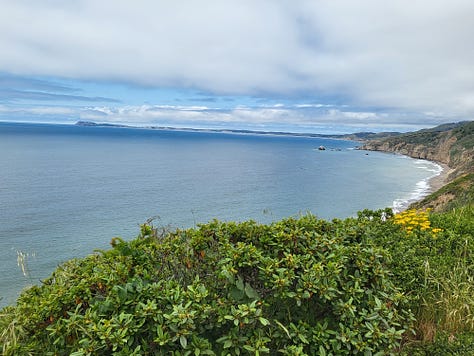 photos of trees, shoreline, and Melanie and John smiling with the rugged coastline behind them