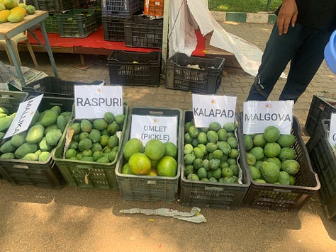 Mango market scenes