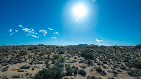 Images of landscapes within Joshua Tree National Park