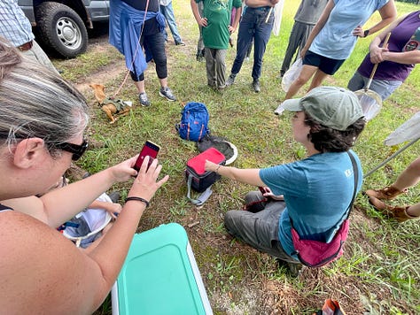 Showing people looking at bumble bees.