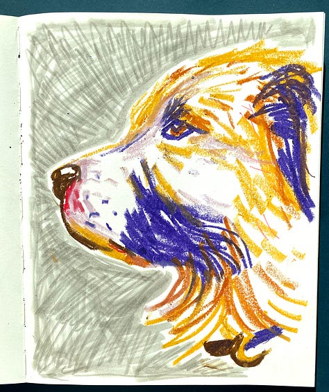 Hand drawn sketches of dogs