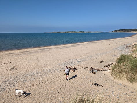 Walking on Anglesey newborough Warren and Ynys Llanddwyn