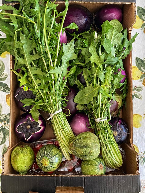 surplus produce for our community kitchen in Sicily