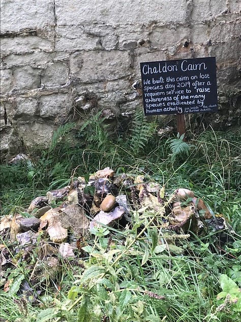 Cairn (monument of stones) in memory of extinct species, created to raise awareness of species we've lost and species we risk losing; also lists of species that have become extinct over the lifetime of the Chaldon Church