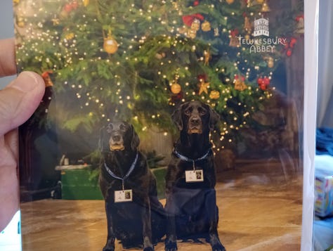 Two dogs lying on church floor. Two dogs greeting visitors in Abbey. Two dogs with Christmas tree on Christmas card